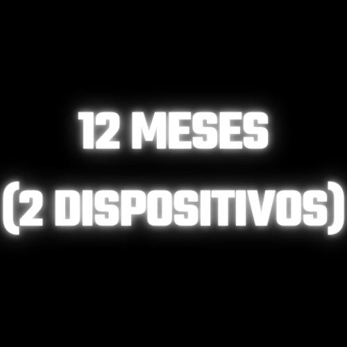 12 MESES (2 dispositivos)